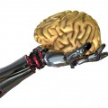 Robot Hand Holding Human Brain
